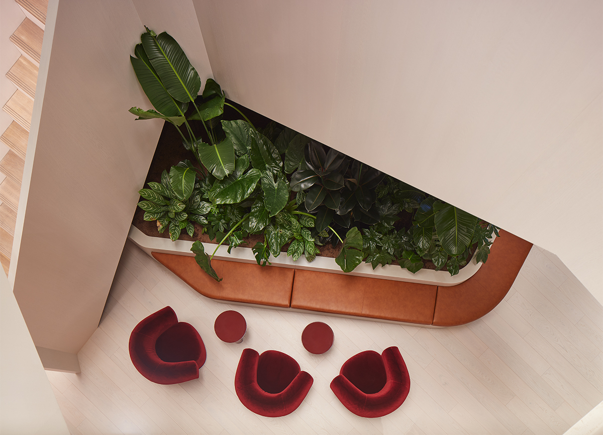 Overhead view of a lounge corner with built-in seating, dense indoor planting, three red armchairs and small round tables.