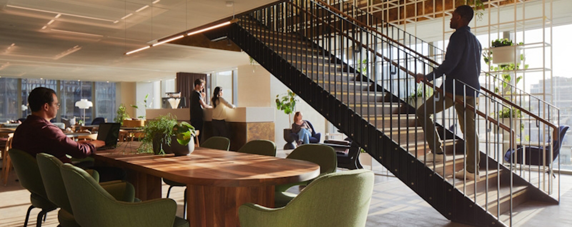 Plants in the office: how biophilia can enhance your workspace and improve employee motivation