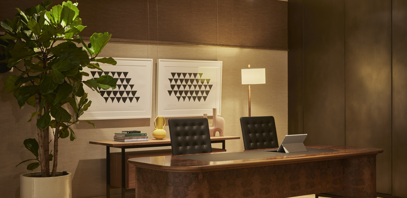 A contemporary private office featuring a wooden executive desk, office chairs, contemporary artwork, a floor lamp and a large indoor plant.