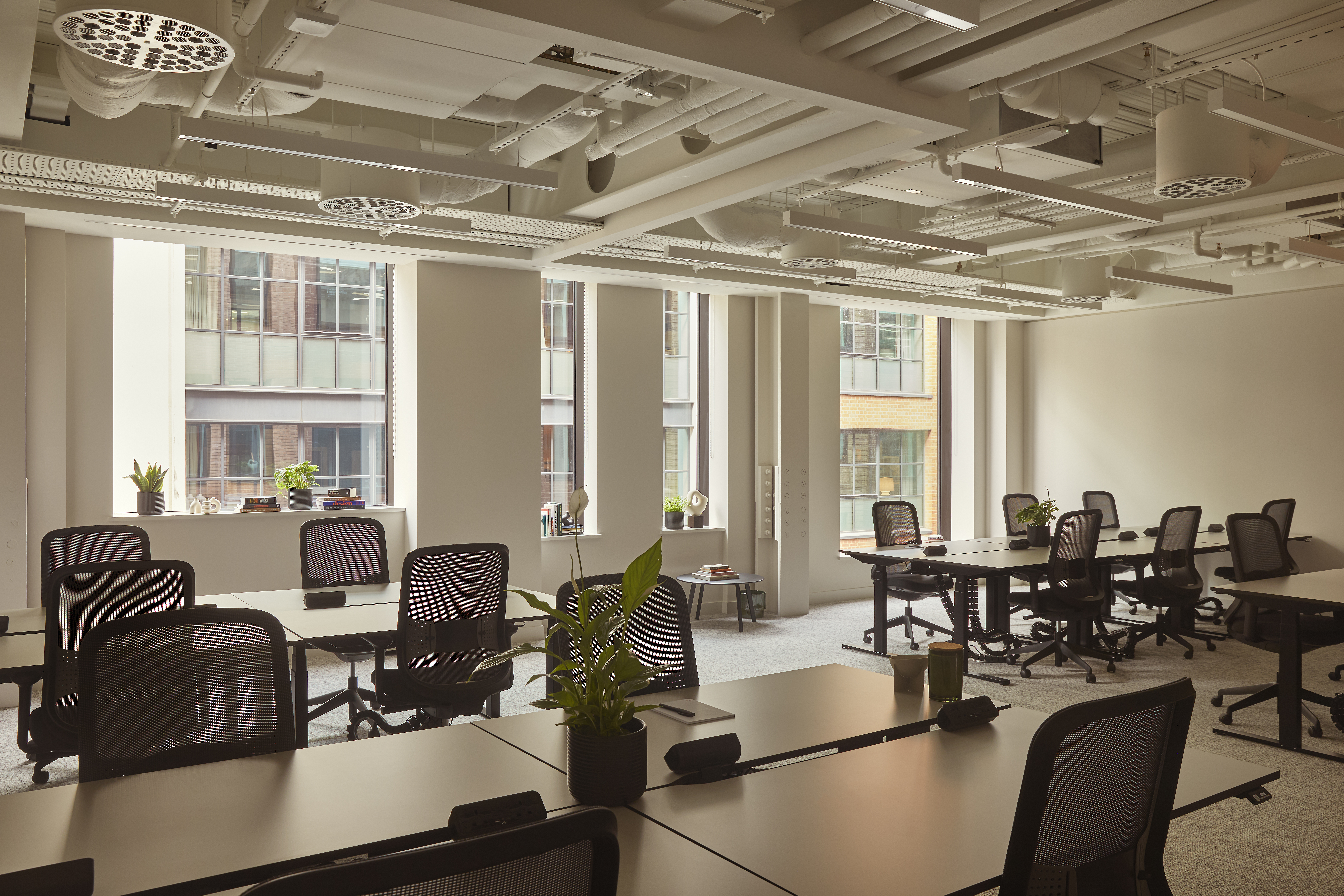 A contemporary open plan office featuring shared desks, ergonomic office chairs, large windows and abundant natural light in a modern workspace.